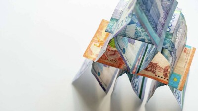 Организатора финпирамиды "HAS Holding" задержали в Павлодарской области