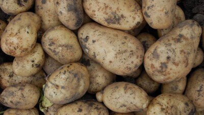 Цену на картофель в Карагандинской области снизили на 30% после вмешательства АФМ