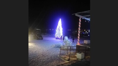 Неопрятную ёлку заменили в ВКО