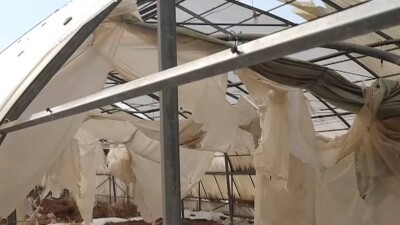"Деньги на ветер". В Кызылординской области простаивают теплицы, построенные за 668 млн тенге