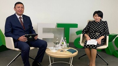 Хорошая рождаемость и высокий IQ – глава Отбасы банка о демографической структуре населения