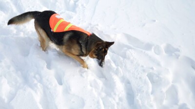 В горах Алматы нашли тело погибшего под лавиной лыжника