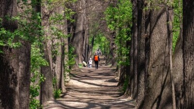 Рощу Баума в Алматы планируют благоустроить