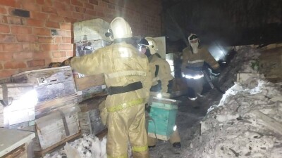 Более миллиона пчёл спасли пожарные в Усть-Каменогорске