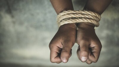 Детское рабство в Улытауской области: в Минпросвете объяснили, почему школа не реагировала на прогулы