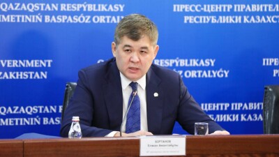 Экс-министр здравоохранения Елжан Биртанов стал советником главы союза медработников QazMed