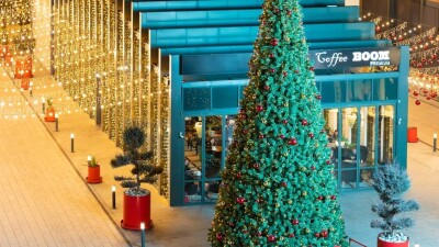 Сколько потратили акиматы Астаны, Алматы и Шымкента на украшение городов к Новому году