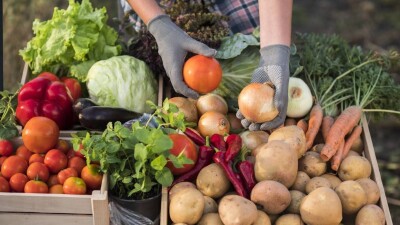 Сельскохозяйственная ярмарка пройдёт в Алматы