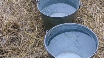 Сельчане в Туркестанской области годами пьют грязную воду из арыка