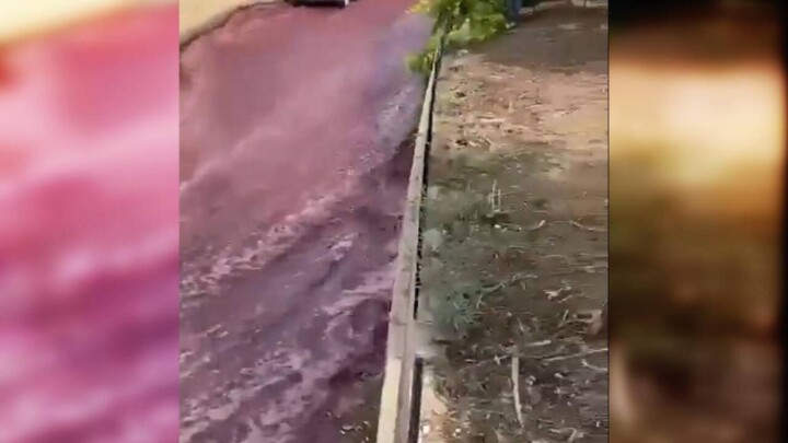 Винный потоп произошёл в португальском городе Анадия