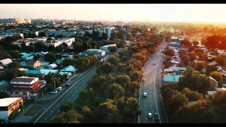 Спецполосу движения выделили на проспекте Райымбека в Алматы на время ремонтных работ