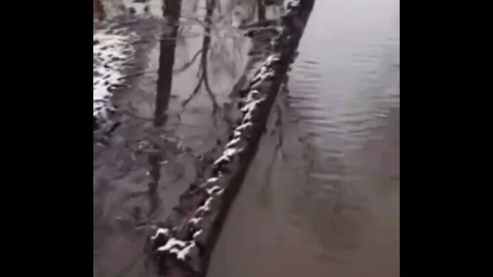 Центральный парк Караганды затопило из-за крупной аварии на водопроводе