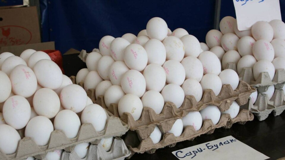 Яйца по 510 и сахар по 459 тенге: продукты по сниженным ценам будут продавать в Уральске