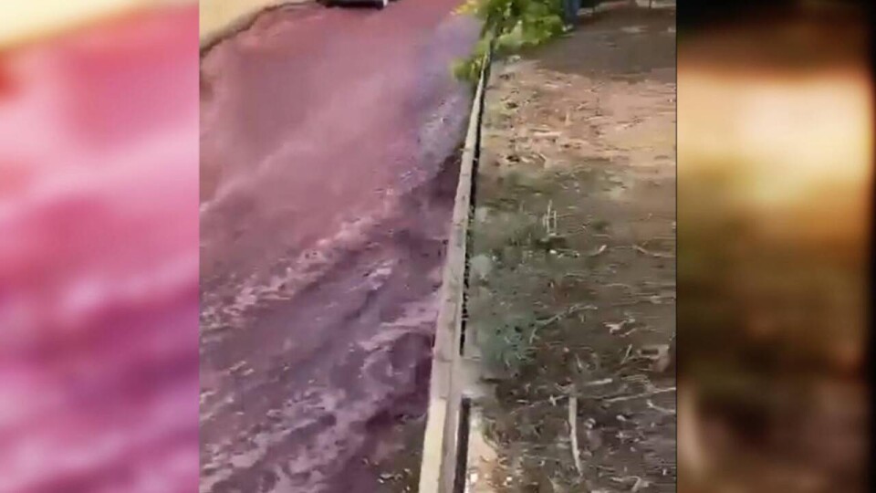 Винный потоп произошёл в португальском городе Анадия