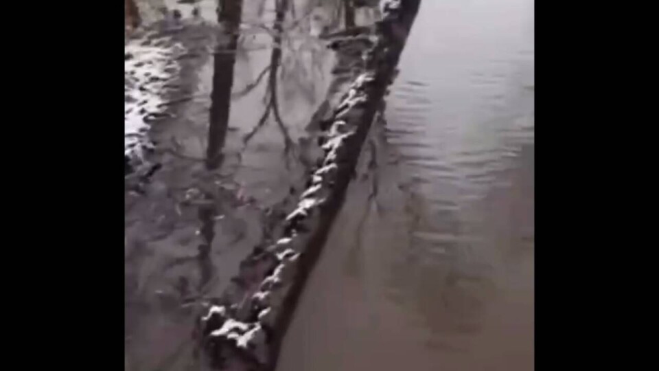 Центральный парк Караганды затопило из-за крупной аварии на водопроводе
