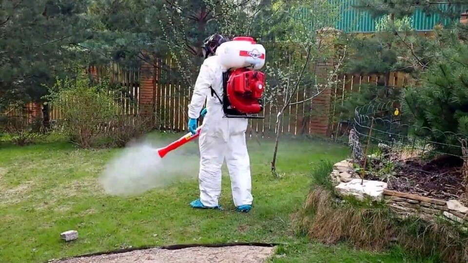 Обработку против клещей начали в Алматы: когда нельзя посещать парки и скверы