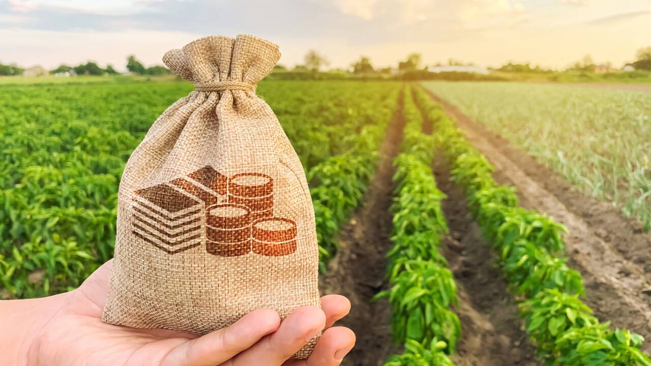 Предприниматели жалуются на повышение налога на сельхозземли, включённые в населённые пункты