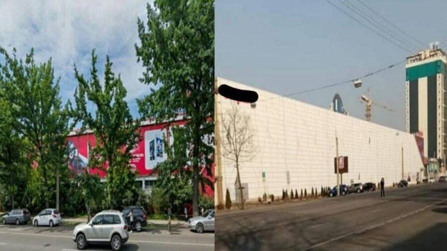 Неприжившиеся саженцы возле Sulpak в Алматы пересадят осенью