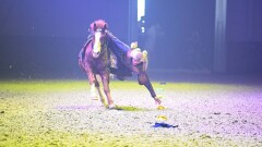 Токаев посетил шоу наездников Nomad Stunts