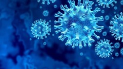 В Казахстане за сутки зарегистрировали 547 случаев заражения Covid-19