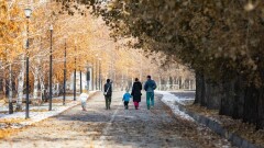 Токаев высказался о знании корней и почитании семейных традиций