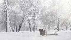 Прогноз погоды на 21 декабря: снег, гололёд и метели по всей стране