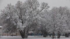 Прогноз погоды на 9 декабря: в Астане и Алматы ожидается снег