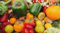 В Жамбылской области сгнили продукты на миллионы тенге