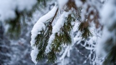 Прогноз погоды на 22 декабря: снегопады на востоке, гололёд на юге