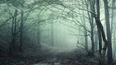 Сильный ветер, туман и заморозки: какая погода ожидает казахстанцев