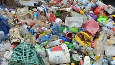 Учёные нашли во льдах Арктики и Альп грибы и бактерии, способные разлагать пластик