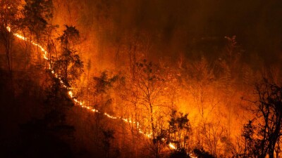 Сотни людей остались без жилья из-за крупного лесного пожара в Южной Корее