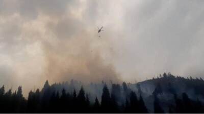 Пожар в горах Алматы охватил площадь в три гектара, его тушат более 70 человек