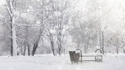 Прогноз погоды на 21 декабря: снег, гололёд и метели по всей стране