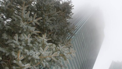 Ноябрь в Казахстане начнётся с сильных осадков. На юге страны резко похолодает