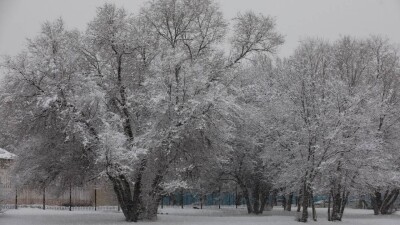 Прогноз погоды на 9 декабря: в Астане и Алматы ожидается снег