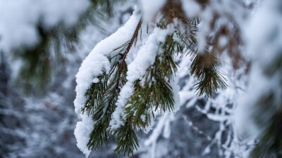 Прогноз погоды на 22 декабря: снегопады на востоке, гололёд на юге