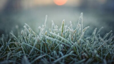 Ночные заморозки до -15° ожидаются на севере, востоке и в центре Казахстана