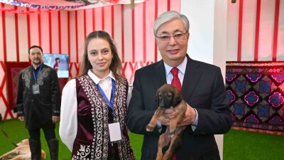 Токаев посетил выставку собак породы тазы и получил щенка в подарок