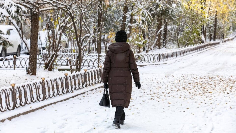 Прогноз погоды на 16 декабря: без осадков, но ветрено