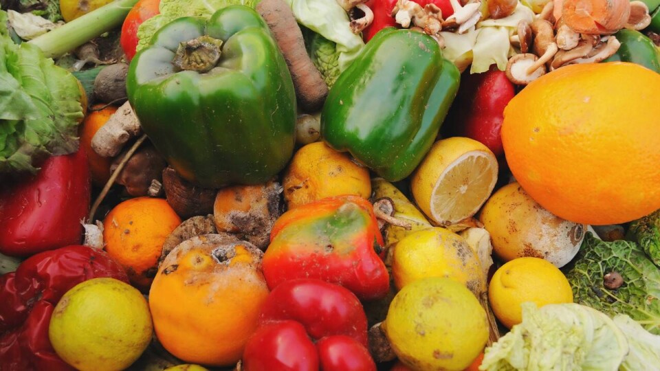 В Жамбылской области сгнили продукты на миллионы тенге