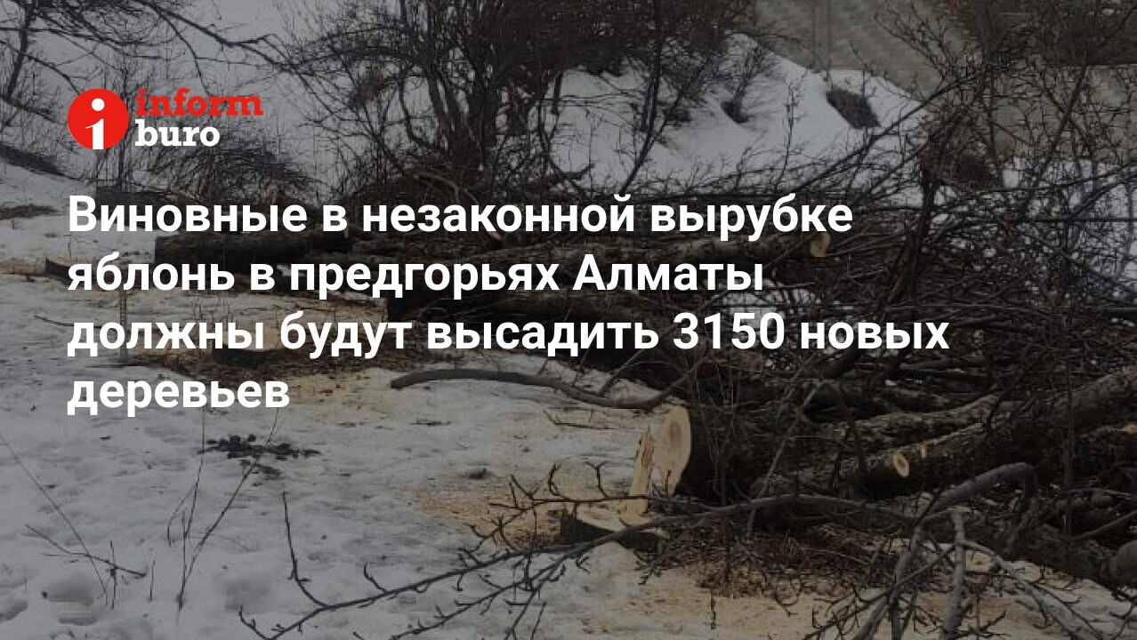 informburo.kz