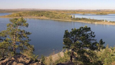 Загадка озера Большое Чебачье: могла ли рыба умереть из-за газа и водорослей