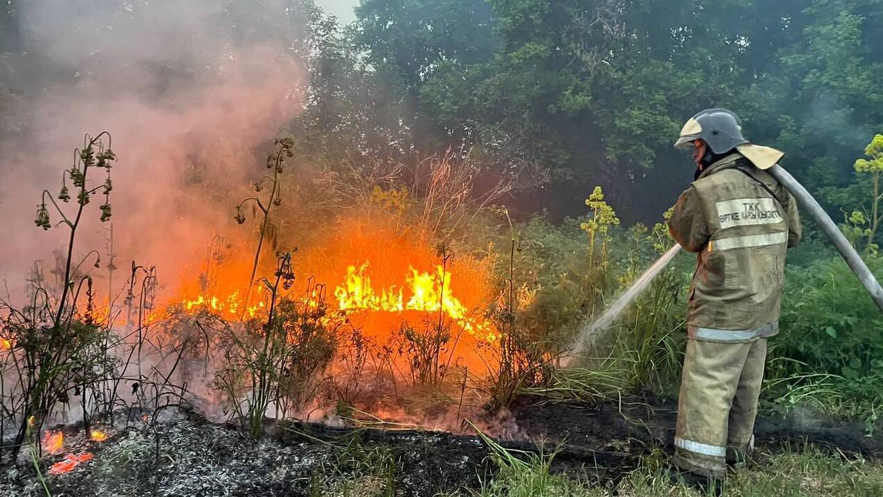 Пожар в лесу: как спастись от огня и что делать, если он приближается к вашему СНТ