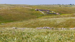 Жители Жетысуской области недовольны итогами конкурса на предоставление земельных участков