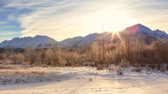 Самый короткий световой день и самая длинная ночь: зимнее солнцестояние произойдёт 22 декабря