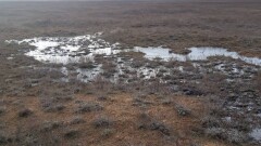 Информацию о разливе нефтепродуктов проверяют в Атырауской области