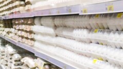 Почему десяток яиц стоит дороже 600 тенге, объяснили в Минторговли