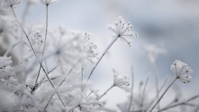 Синоптики прогнозируют погоду без осадков на большей части Казахстана