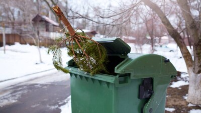 Жителям Петропавловска запретили выбрасывать ёлки в мусорные баки